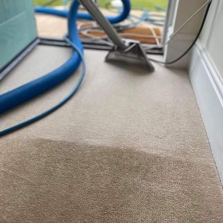 Professional carpet cleaning in action